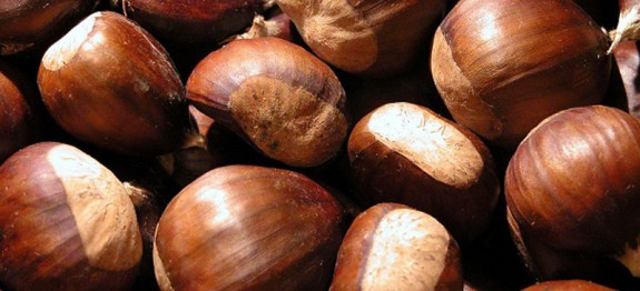 Castagne con il Cookeo