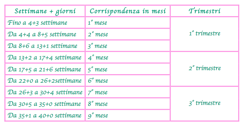 I 28 Giorni Si Contano Dalla Fine Del Ciclo